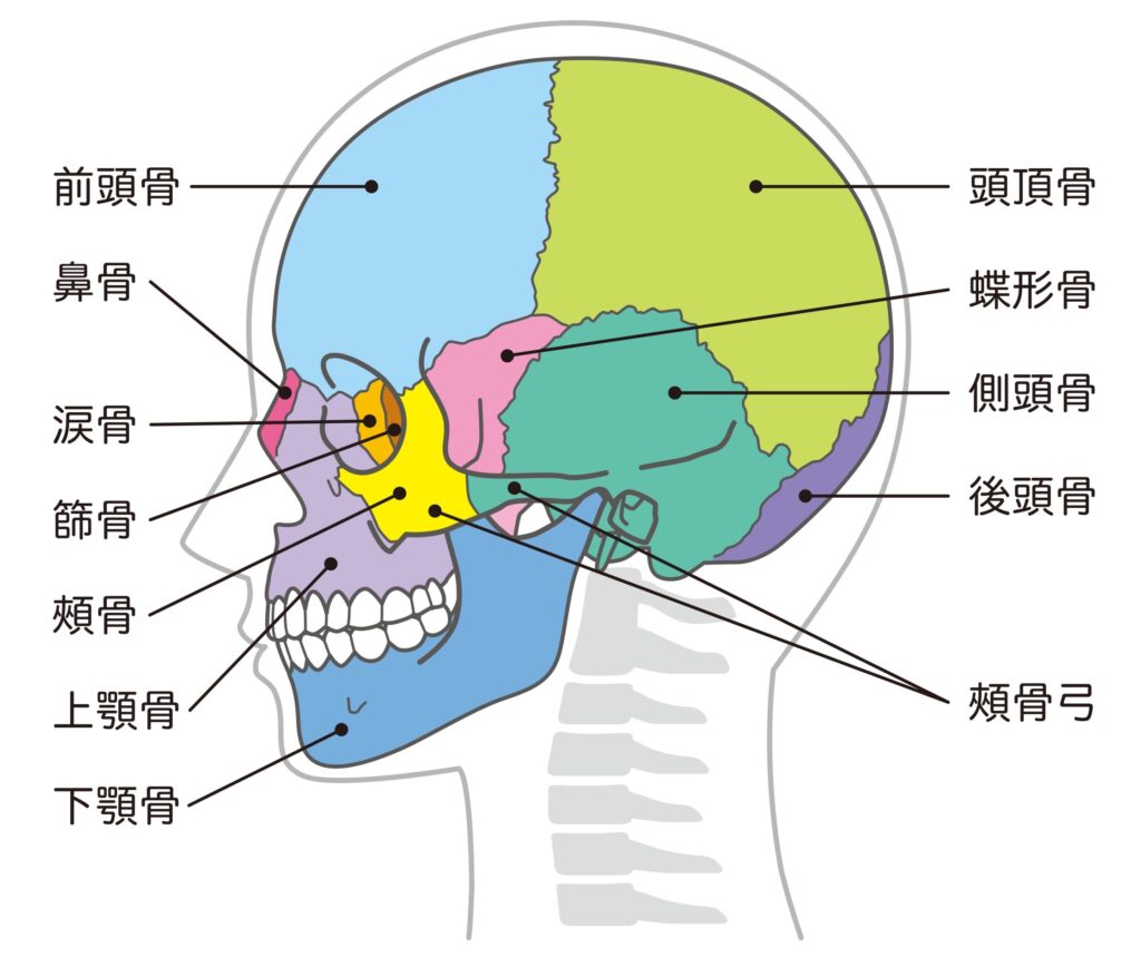 業界初「3TS法頭蓋骨小顔矯正」とは?