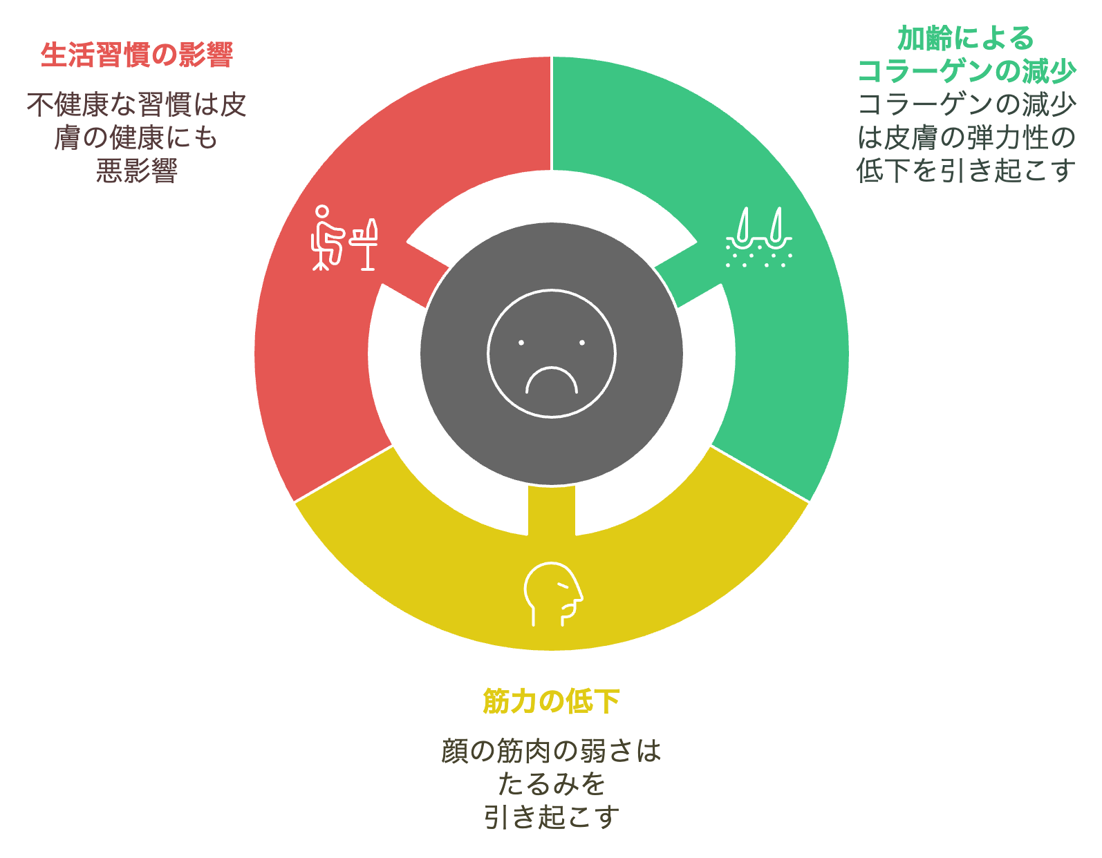 顔のたるみの原因