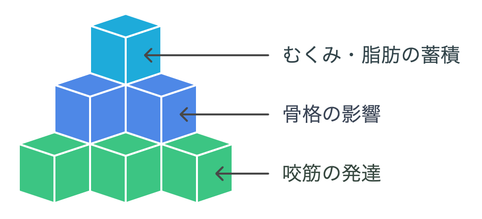 エラ張りの原因